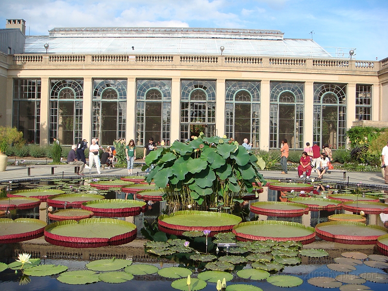 284 Longwood Gardens [2008 August 23].JPG - Longwood Gardens in Pennsylvania